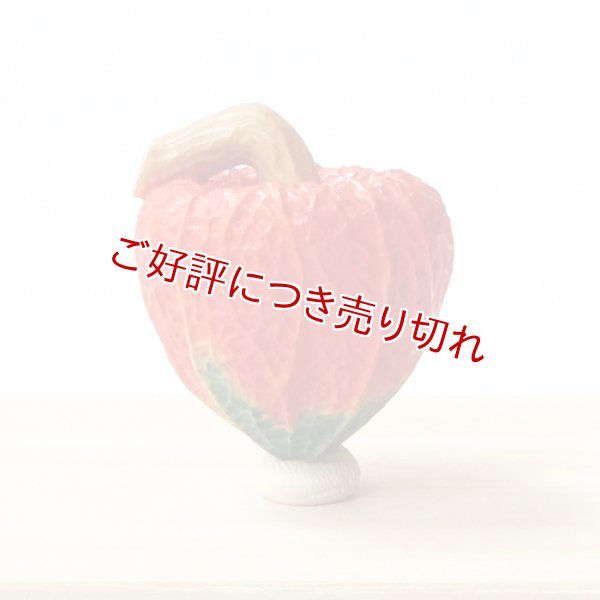 画像1: 黄楊根付　ほおずき（B）【岡壱名入り】【2019年07月08日公開】 (1)