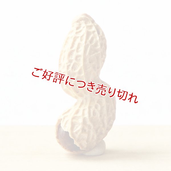 画像1: 黄楊根付　落花生（2粒実入り）Ａ【岡壱名入り】【2019年9月9日】 (1)