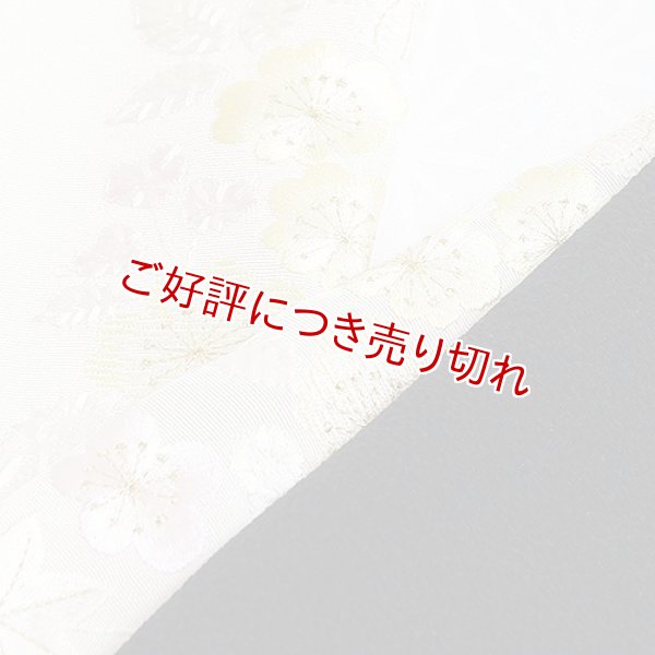 画像1: 刺繍半襟　梅桜　（01） (1)
