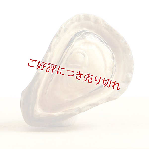 画像1: 黄楊根付　牡蠣 (1)