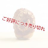 黄楊根付　蛸足【岡壱名入り】