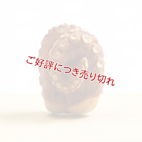 画像1: 黄楊根付　蛸足【岡壱名入り】 (1)