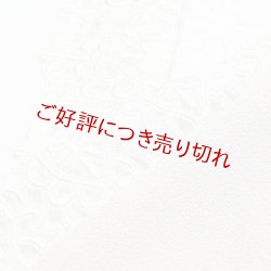 画像1: レース半襟　（01）