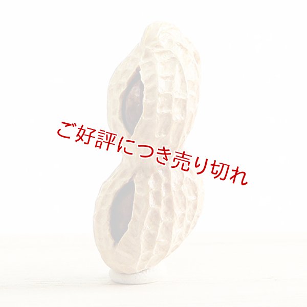 画像1: 黄楊根付　落花生【2個実入り／岡壱名入り】【2020年3月27日】 (1)