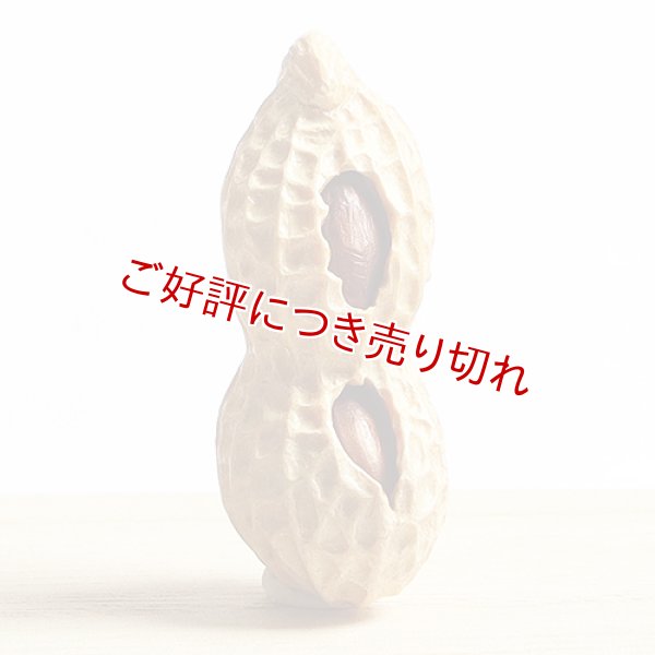 画像1: 黄楊根付　落花生　2個実入り　【岡壱名入り】 (1)