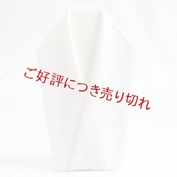 画像1: 白半襟　柄　正絹 ビロード 菊花