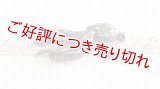 ピューター帯留め　蛸