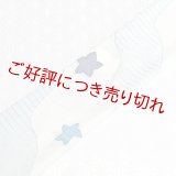 絽　友禅帯揚げ　ローケツ道長に桔梗　（04）
