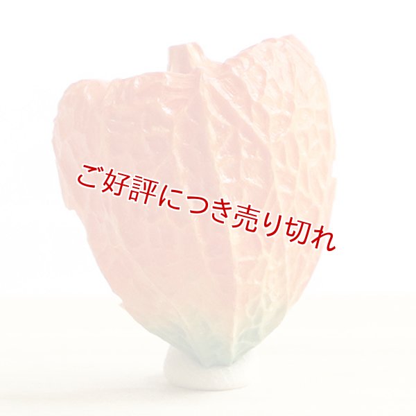 画像1: 黄楊帯留め　鬼灯【岡壱名入り】 (1)