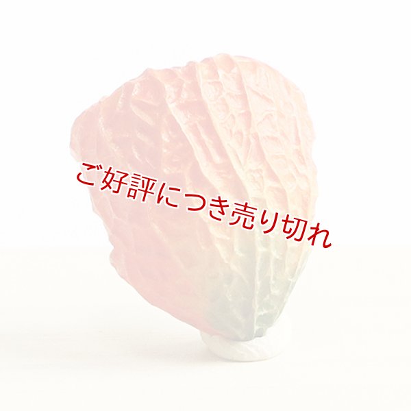 画像1: 黄楊帯留め　鬼灯【岡壱名入り】【桐箱付き】 (1)