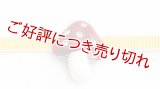 帯留め　キノコ（赤）