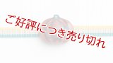 帯留め　新しいジャックオランタン