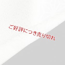 画像1: 無地半襟　風通三重織　華紋詰　白（05）