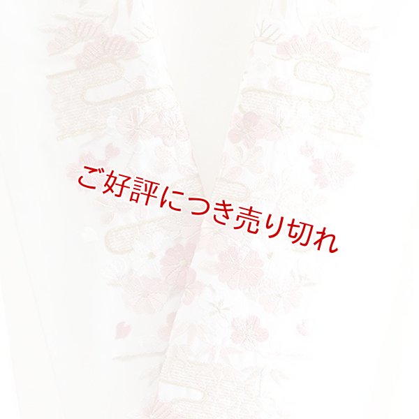 画像1: ポリエステル刺繍半襟　【7000円】（04） (1)