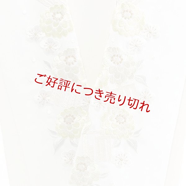 画像1: ポリエステル刺繍半襟　【7000円】（17） (1)