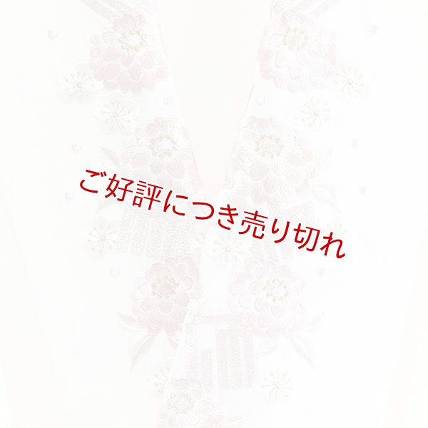画像1: ポリエステル刺繍半襟　【7000円】（16） (1)