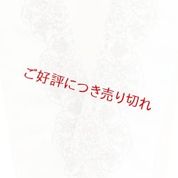 画像1: ポリエステル刺繍半襟　【7000円】（23）