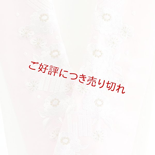 画像1: ポリエステル刺繍半襟　【7000円】（15） (1)