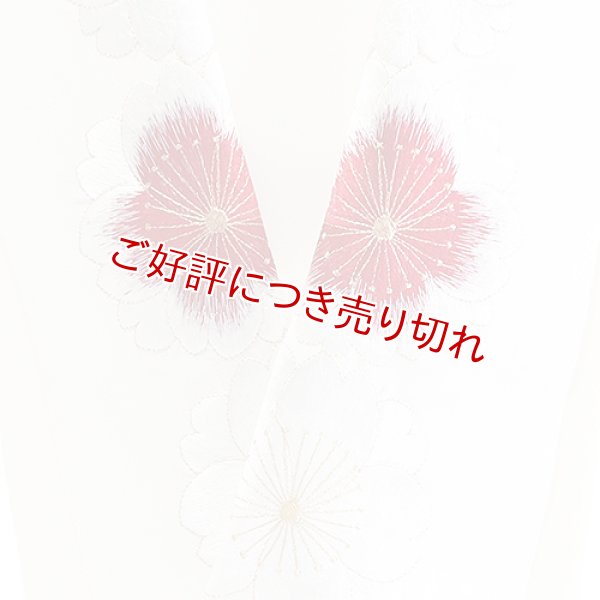 画像1: ポリエステル刺繍半襟　【7000円】（11） (1)