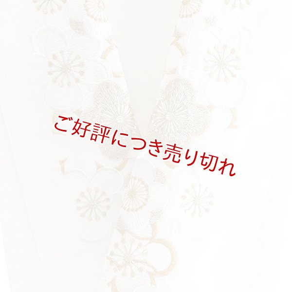 画像1: ポリエステル刺繍半襟　【7000円】（24） (1)
