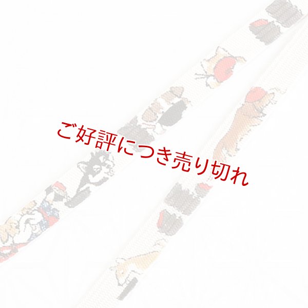 画像1: 帯締め　角朝手描き撚房　わんこそば (1)