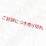 三分紐　さざなみ縞菊　白（04）