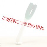 象牙根付　白ネギ（中）【岡壱名入り】【桐箱付き】　（2023年1月14日掲載）