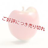 黄楊帯留め　りんご【岡壱名入り】