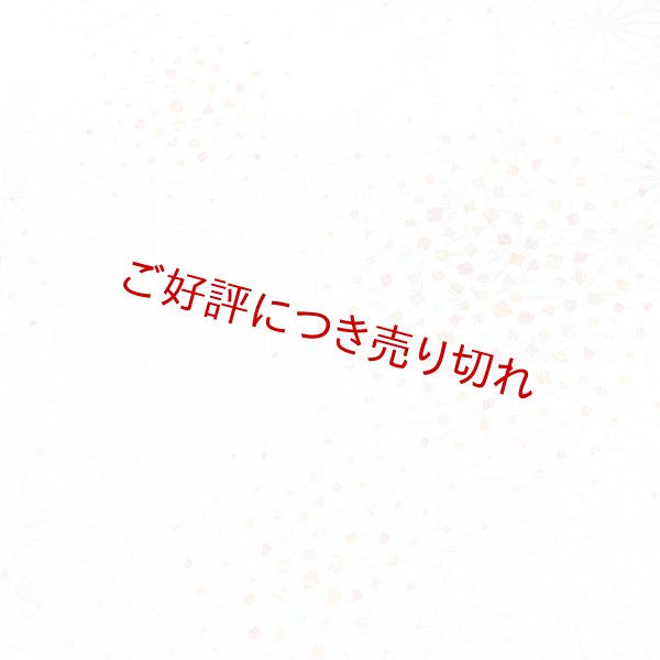 画像1: 和装肌着　二部式襦袢　綸子友禅　七色あられ（淡）　M (1)