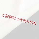 友禅半襟　金銀箔ちらし　白（05）