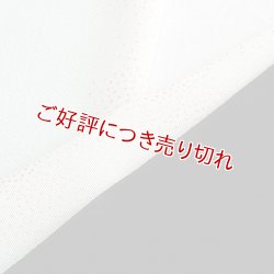 画像1: 友禅半襟　金銀箔ちらし　白藍（しらあい）（06）