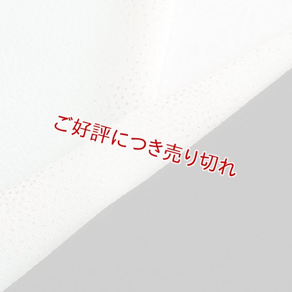 画像1: 友禅半襟　金銀箔ちらし　白藍（しらあい）（06） (1)