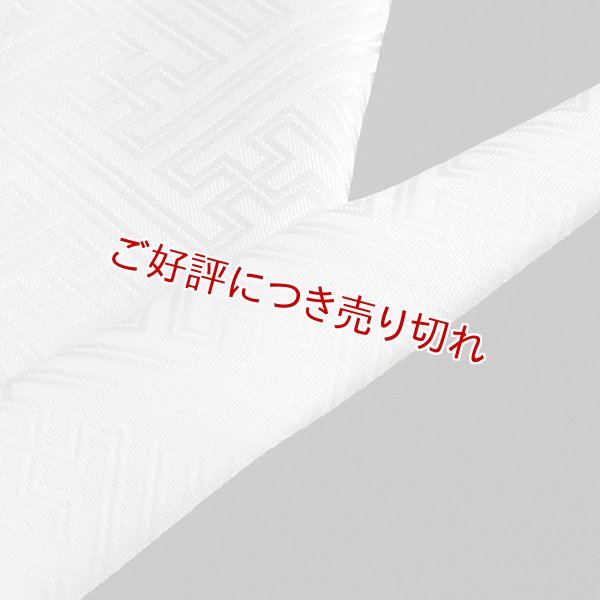 画像1: 白半襟　柄　正絹唐織　紗綾型 (1)
