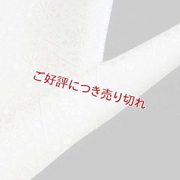 画像1: 白半襟　柄　正絹唐織　松川菱に花 (1)