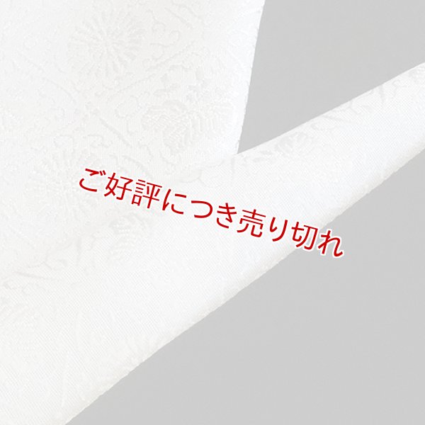 画像1: 白半襟　柄　正絹唐織　桐に菊花 (1)