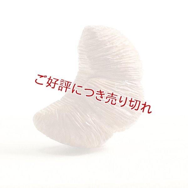 画像1: 黄楊根付　クロワッサン（A） 　（2023年4月3日掲載） (1)