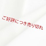 友禅半襟　極鮫小紋　柳色（やなぎいろ）（14）