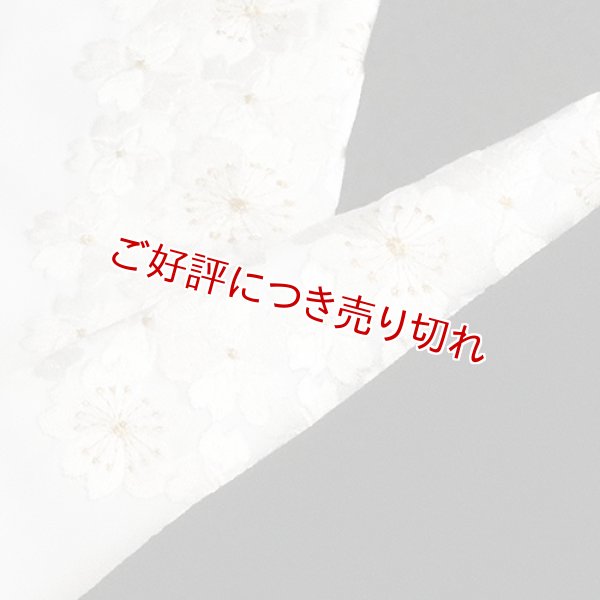 画像1: 黒留袖（礼装用）半襟　【化繊素材】【7000円】　（08） (1)