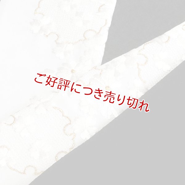 画像1: 黒留袖（礼装用）半襟　【化繊素材】【7000円】　（05） (1)
