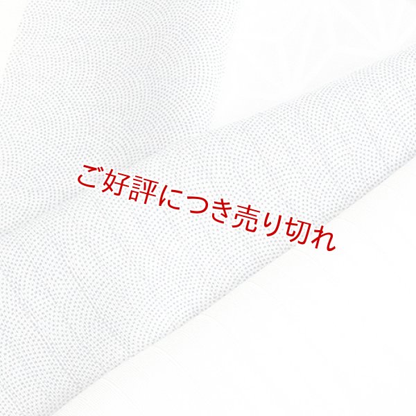 画像1: 半襟 絽　鮫小紋　アイアンブルー（06） (1)