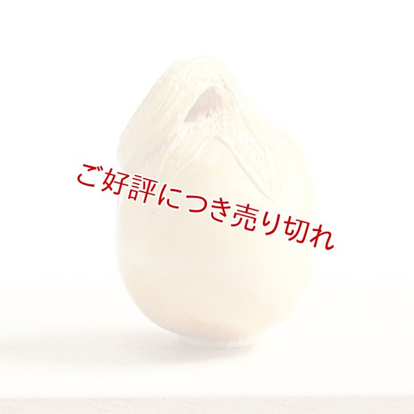 画像1: 黄楊根付　丸茄子【岡壱名入り】　（2023年7月12日掲載） (1)