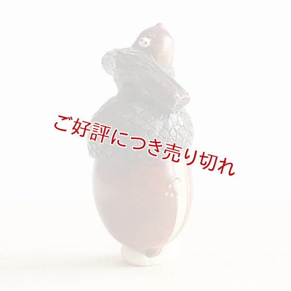 画像1: 黄楊根付　団栗（虫入り）【岡壱名入り】【桐箱付き】　（2023年10月27日掲載） (1)