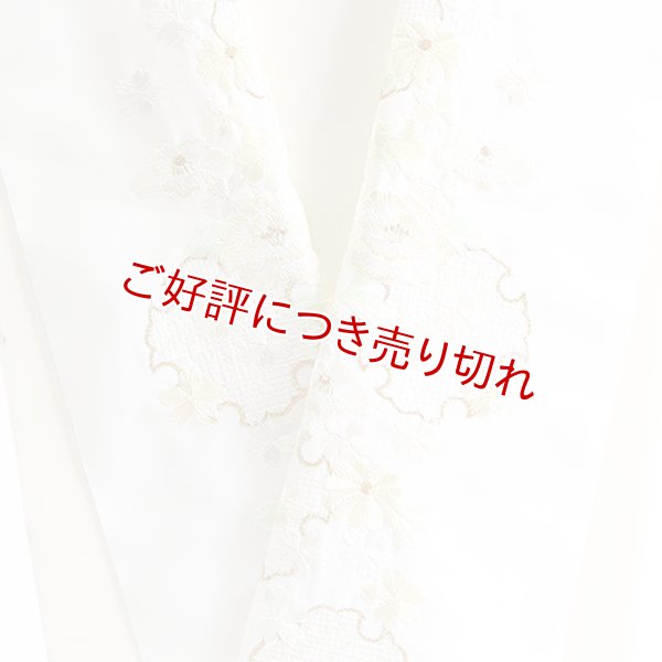 画像1: ポリエステル刺繍半襟　【7000円】（45） (1)