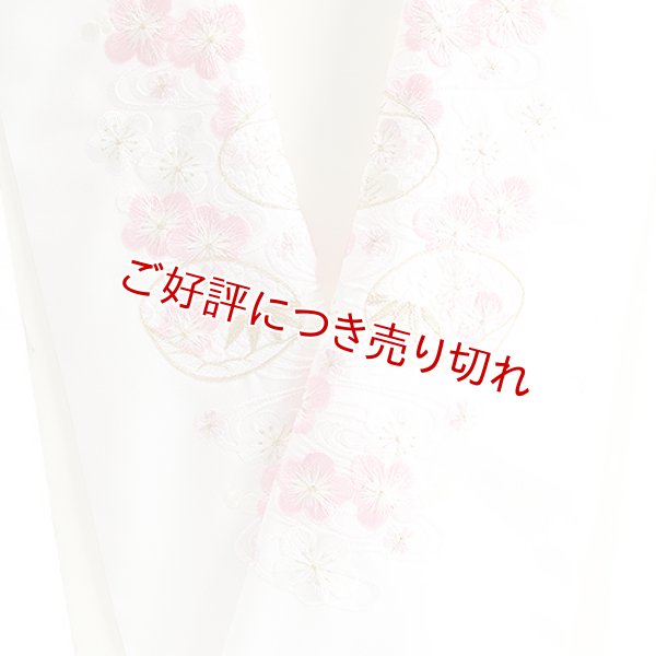 画像1: ポリエステル刺繍半襟　【7000円】（43） (1)