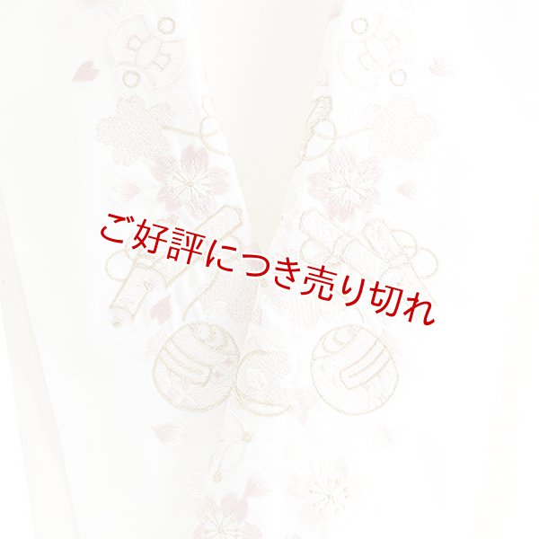画像1: ポリエステル刺繍半襟　【7000円】（55） (1)