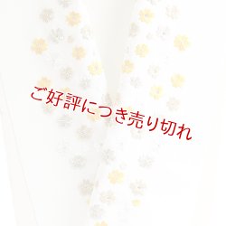 画像1: ポリエステル刺繍半襟　【7000円】（56）