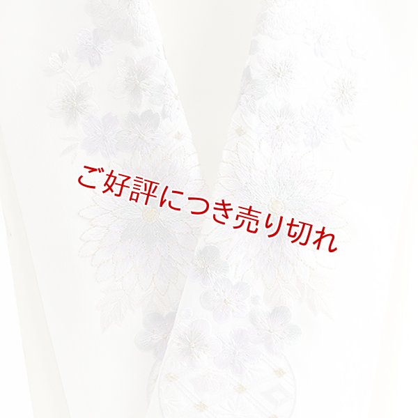 画像1: ポリエステル刺繍半襟　【7000円】（54） (1)