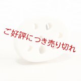 象牙帯留め　れんこん（小）【岡壱名入り】　（2024年1月26日掲載）