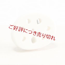 画像1: 象牙帯留め　れんこん（小）【岡壱名入り】　（2024年1月26日掲載）