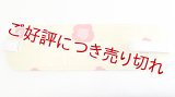 着付道具　帯板　【C】 ゴムベルト付き（並寸）
